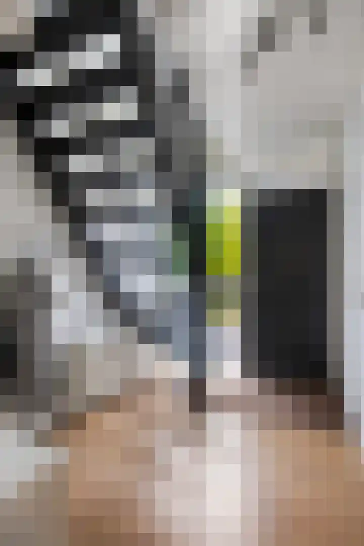 Leeuwetand 1 Heerenveen thumbnail 10