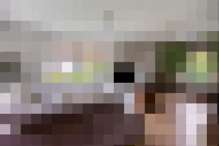 Leeuwetand 1 Heerenveen thumbnail 11