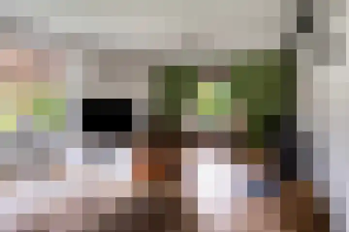 Leeuwetand 1 Heerenveen thumbnail 12