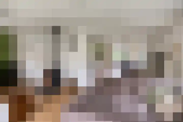 Leeuwetand 1 Heerenveen thumbnail 14