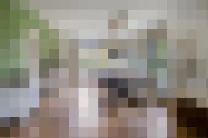 Leeuwetand 1 Heerenveen thumbnail 16