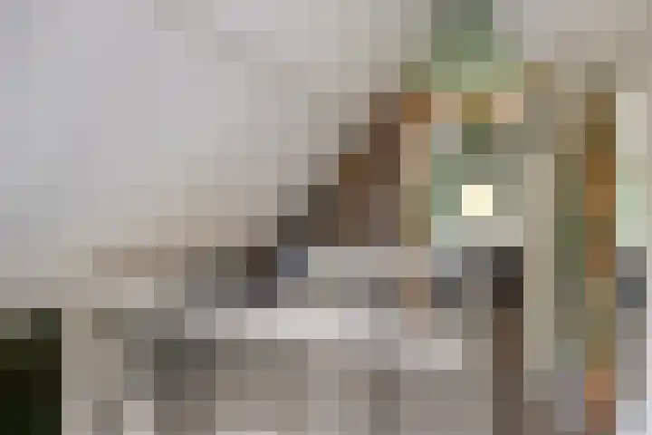 Leeuwetand 1 Heerenveen thumbnail 20