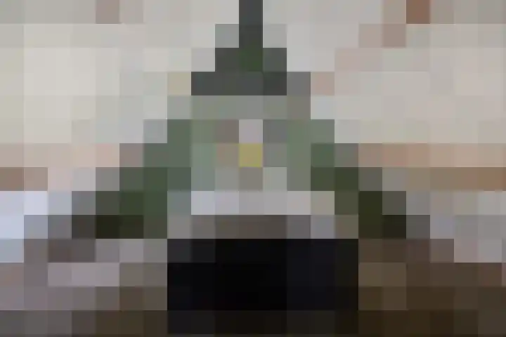 Leeuwetand 1 Heerenveen thumbnail 21