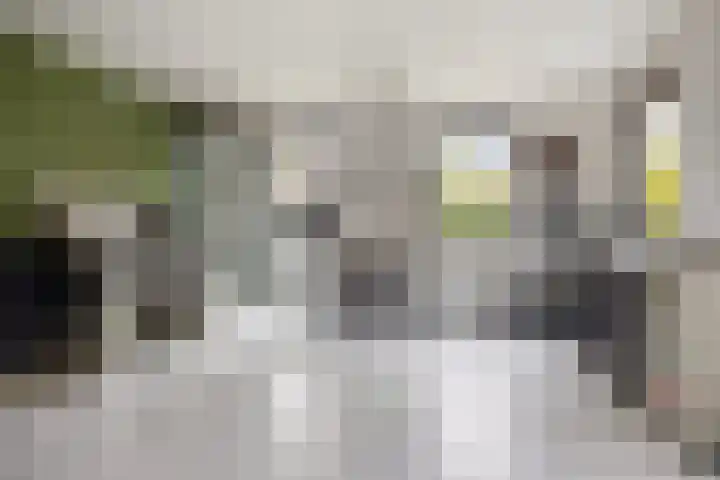 Leeuwetand 1 Heerenveen thumbnail 22