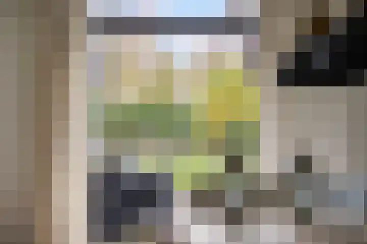 Leeuwetand 1 Heerenveen thumbnail 26