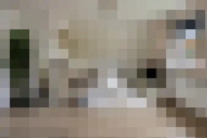Leeuwetand 1 Heerenveen thumbnail 29