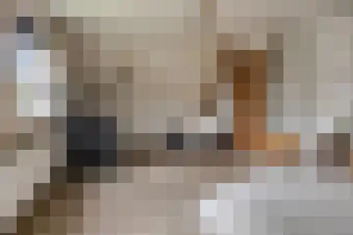 Leeuwetand 1 Heerenveen thumbnail 30