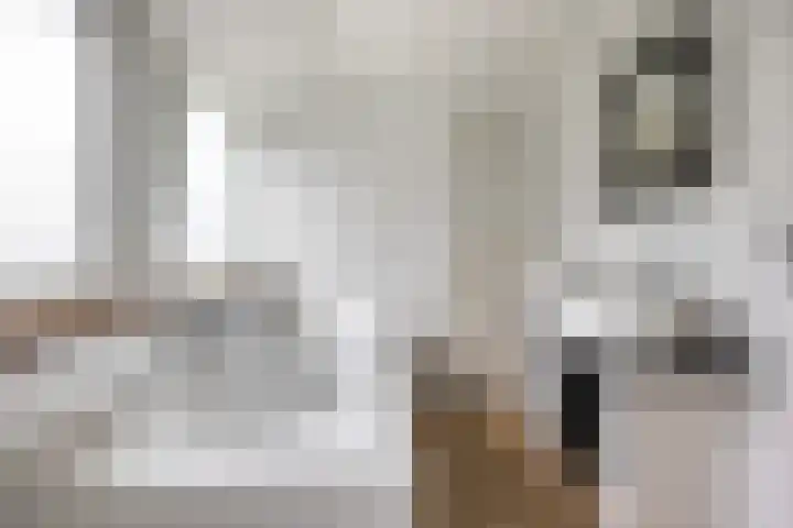 Leeuwetand 1 Heerenveen thumbnail 31