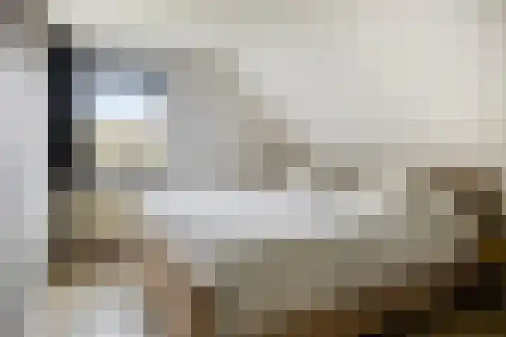 Leeuwetand 1 Heerenveen thumbnail 34