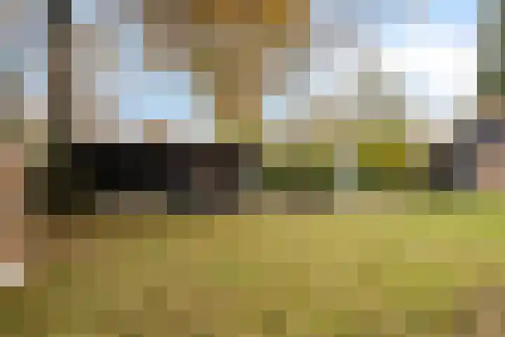Leeuwetand 1 Heerenveen thumbnail 36