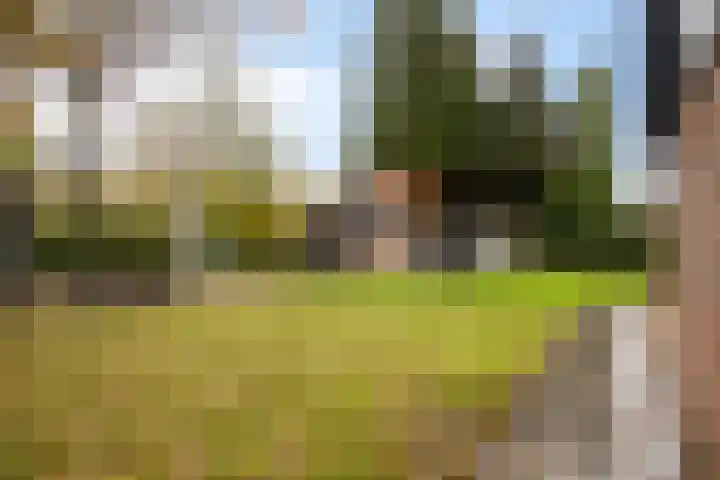 Leeuwetand 1 Heerenveen thumbnail 37