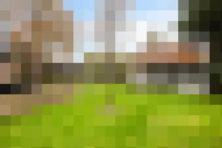 Leeuwetand 1 Heerenveen thumbnail 38