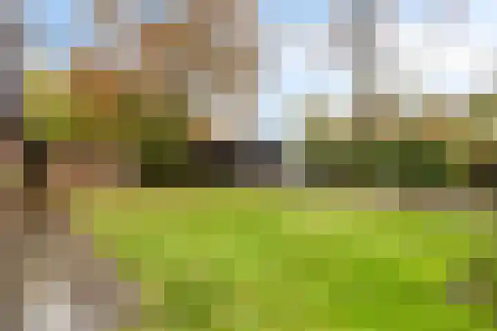 Leeuwetand 1 Heerenveen thumbnail 39