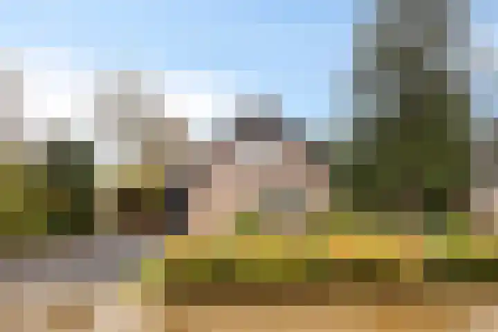 Leeuwetand 1 Heerenveen thumbnail 4