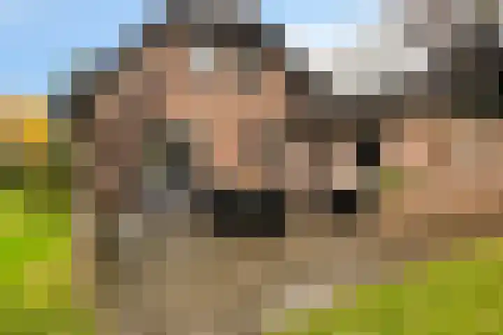 Leeuwetand 1 Heerenveen thumbnail 41