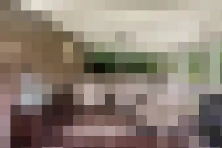 Leeuwetand 1 Heerenveen thumbnail 42