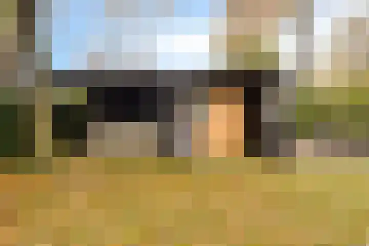 Leeuwetand 1 Heerenveen thumbnail 43