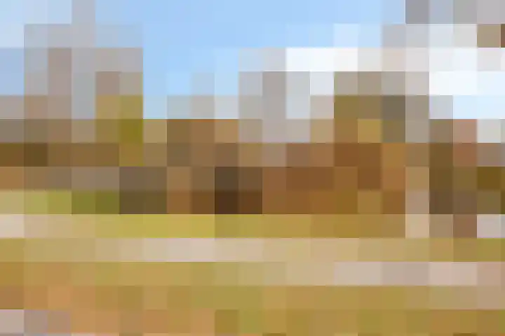 Leeuwetand 1 Heerenveen thumbnail 46