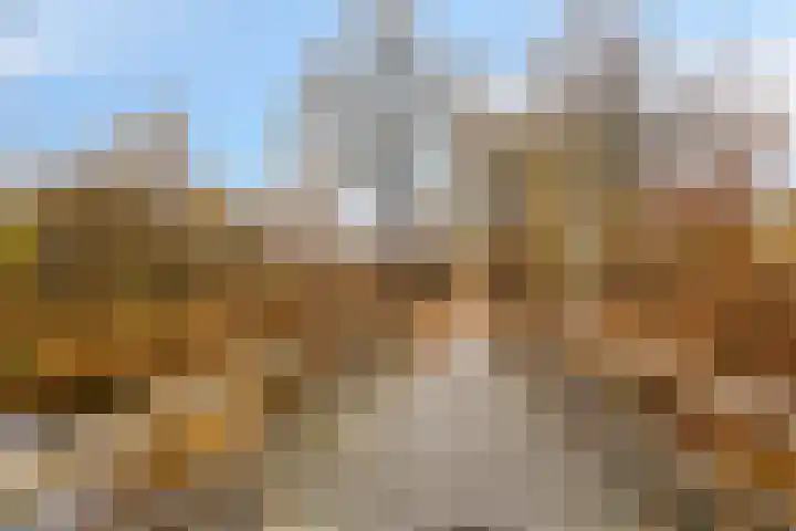 Leeuwetand 1 Heerenveen thumbnail 47