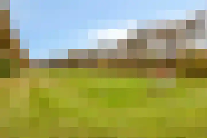 Leeuwetand 1 Heerenveen thumbnail 48