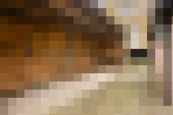 Leeuwetand 1 Heerenveen thumbnail 5