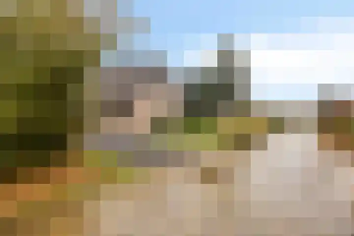 Leeuwetand 1 Heerenveen thumbnail 6