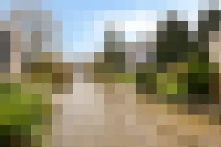 Leeuwetand 1 Heerenveen thumbnail 7