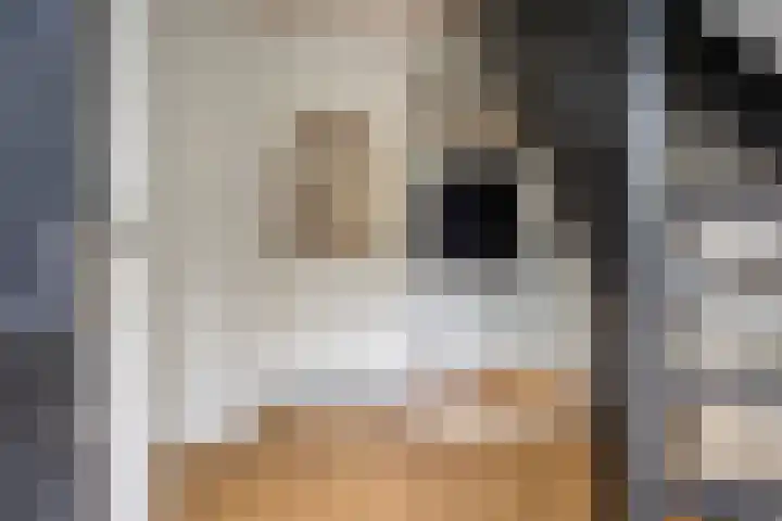 Leeuwetand 1 Heerenveen thumbnail 8