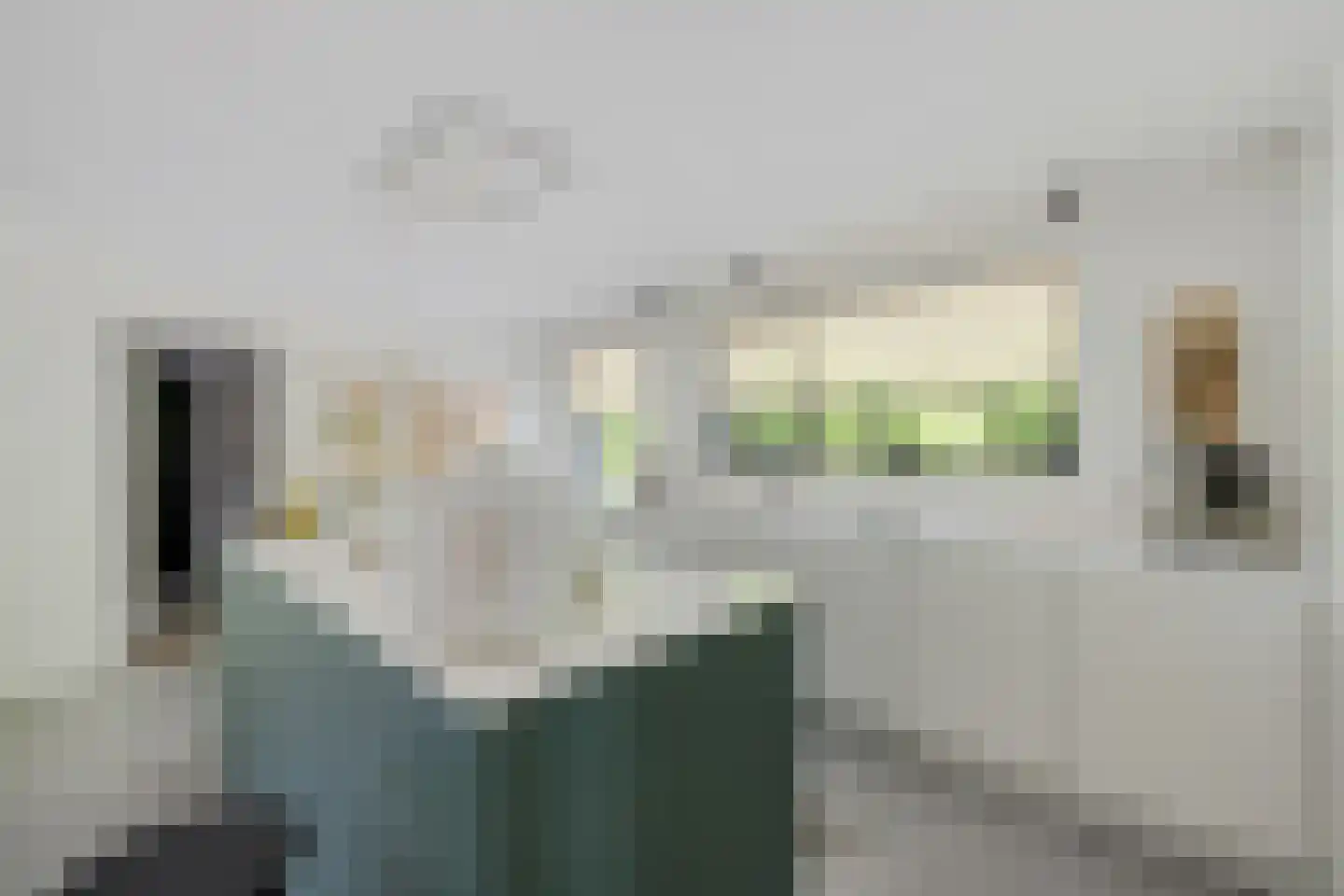 Leeuwetand 21 Heerenveen thumbnail 16
