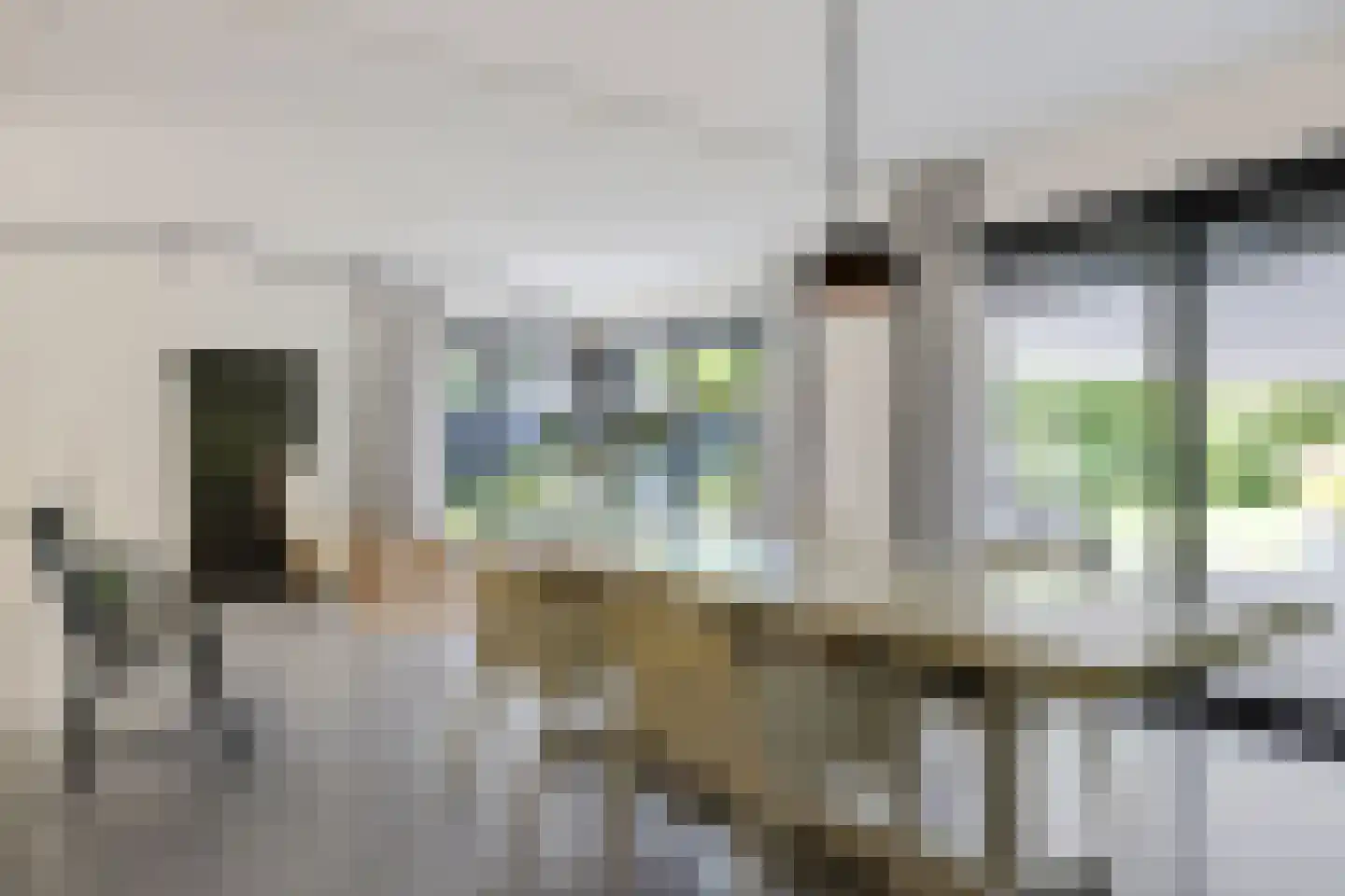 Leeuwetand 21 Heerenveen thumbnail 19