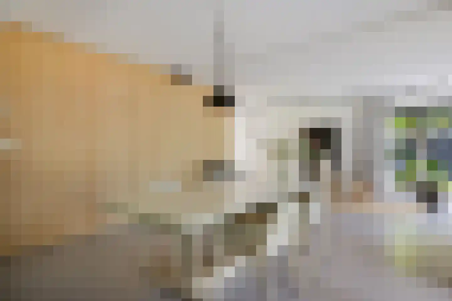 Leeuwetand 21 Heerenveen thumbnail 20