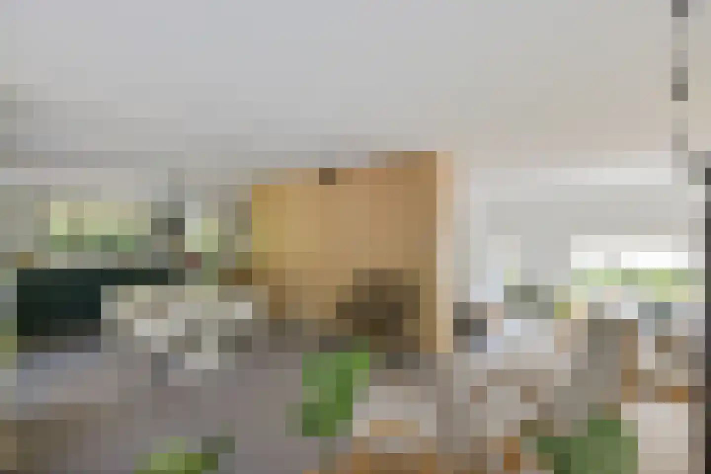 Leeuwetand 21 Heerenveen thumbnail 21