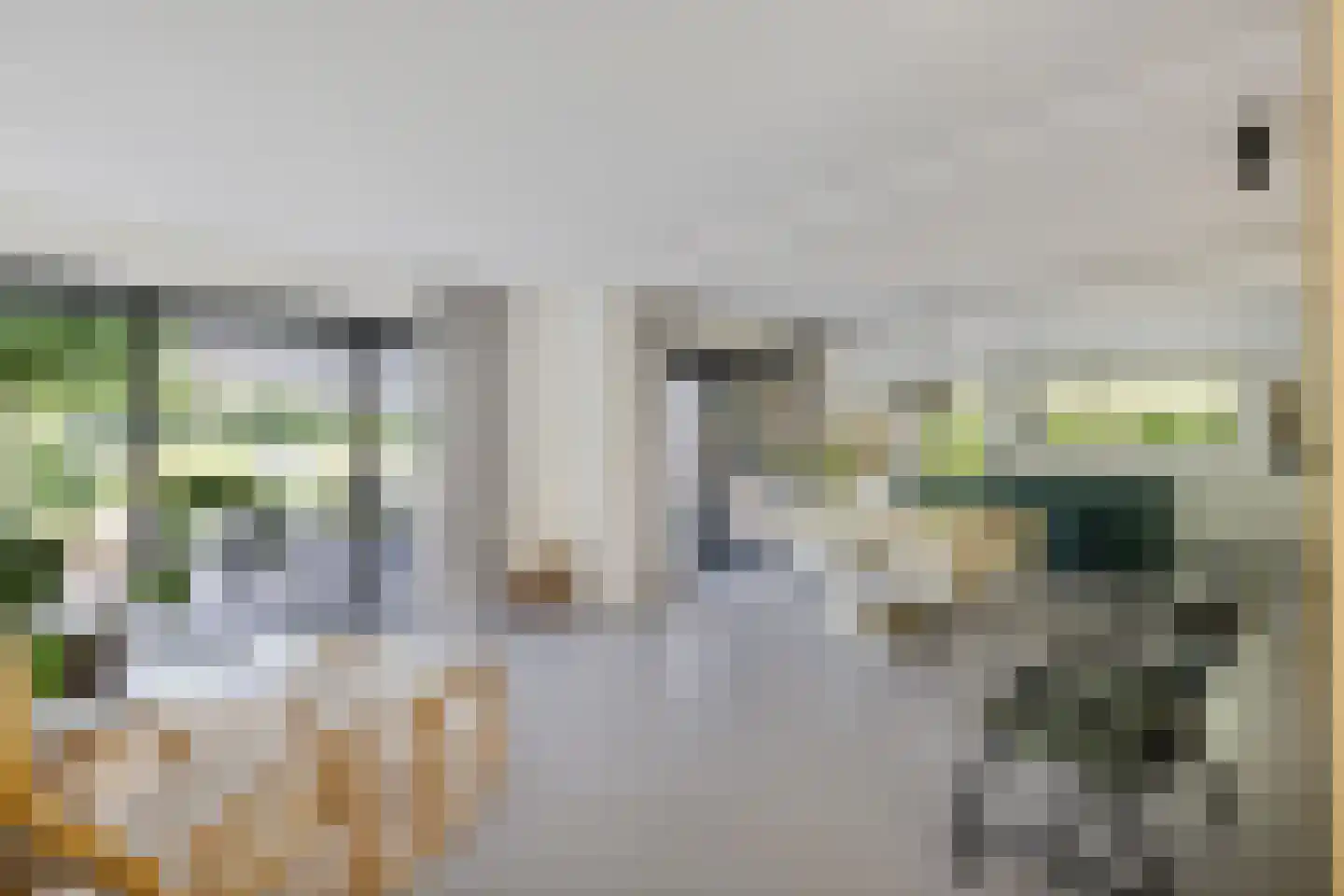 Leeuwetand 21 Heerenveen thumbnail 22