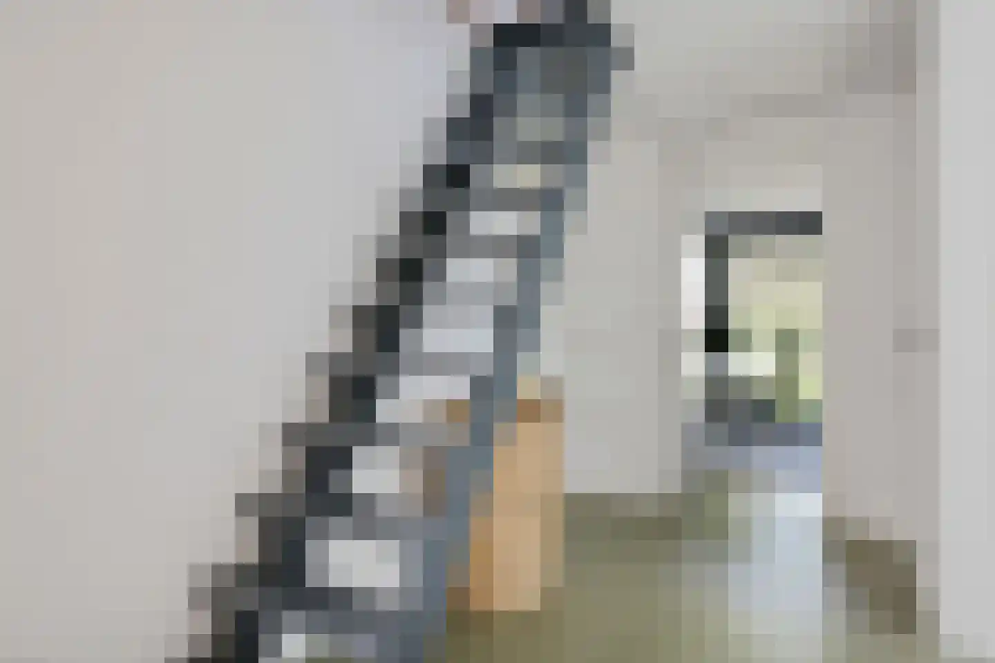 Leeuwetand 21 Heerenveen thumbnail 29