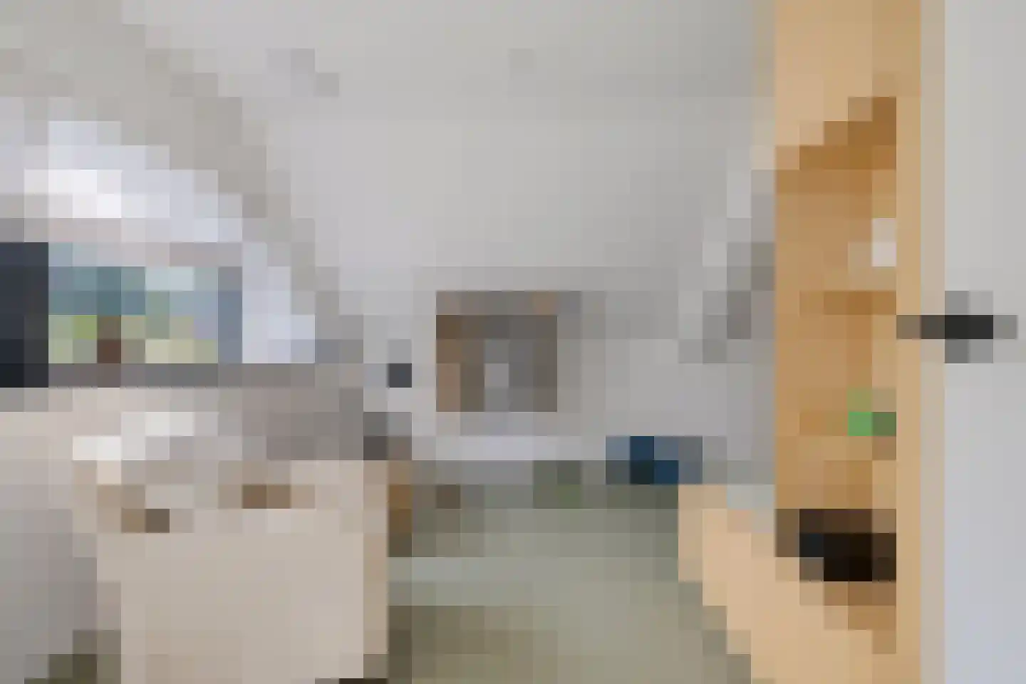 Leeuwetand 21 Heerenveen thumbnail 31