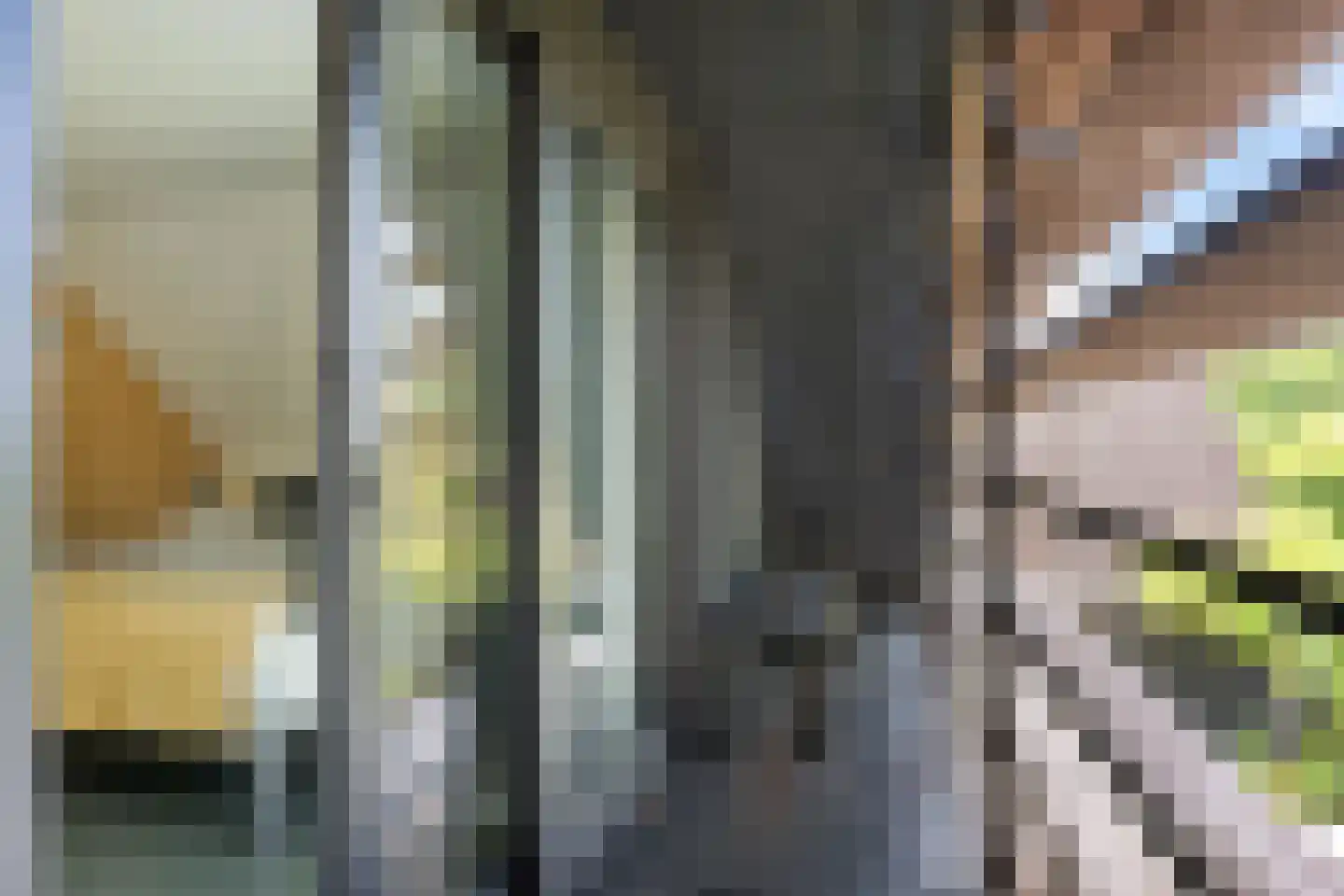 Leeuwetand 21 Heerenveen thumbnail 35