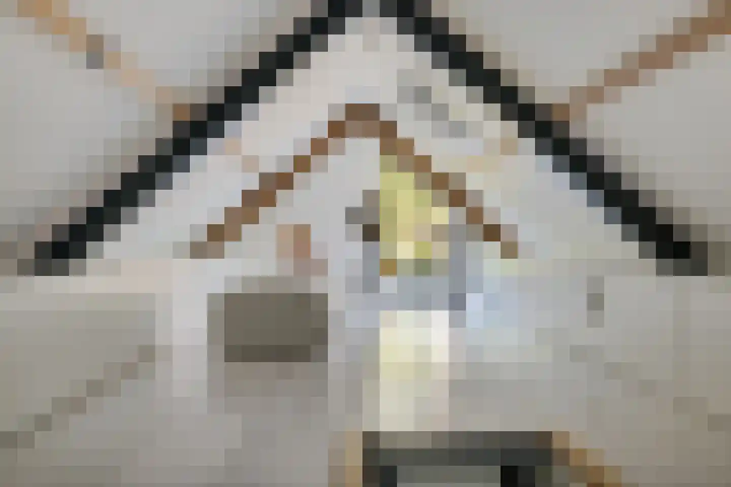 Leeuwetand 21 Heerenveen thumbnail 37