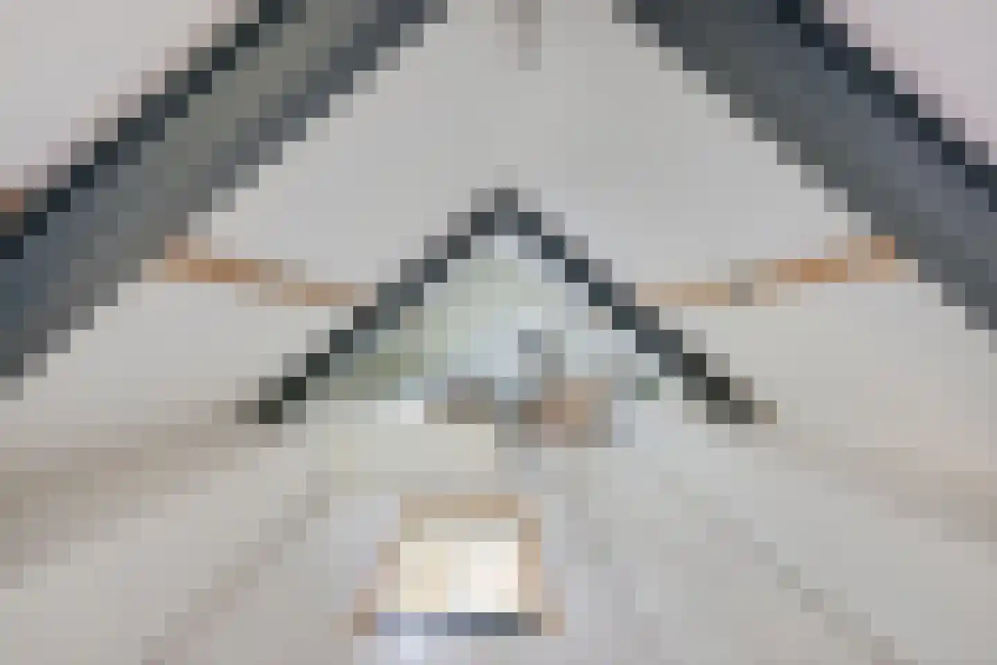 Leeuwetand 21 Heerenveen thumbnail 38