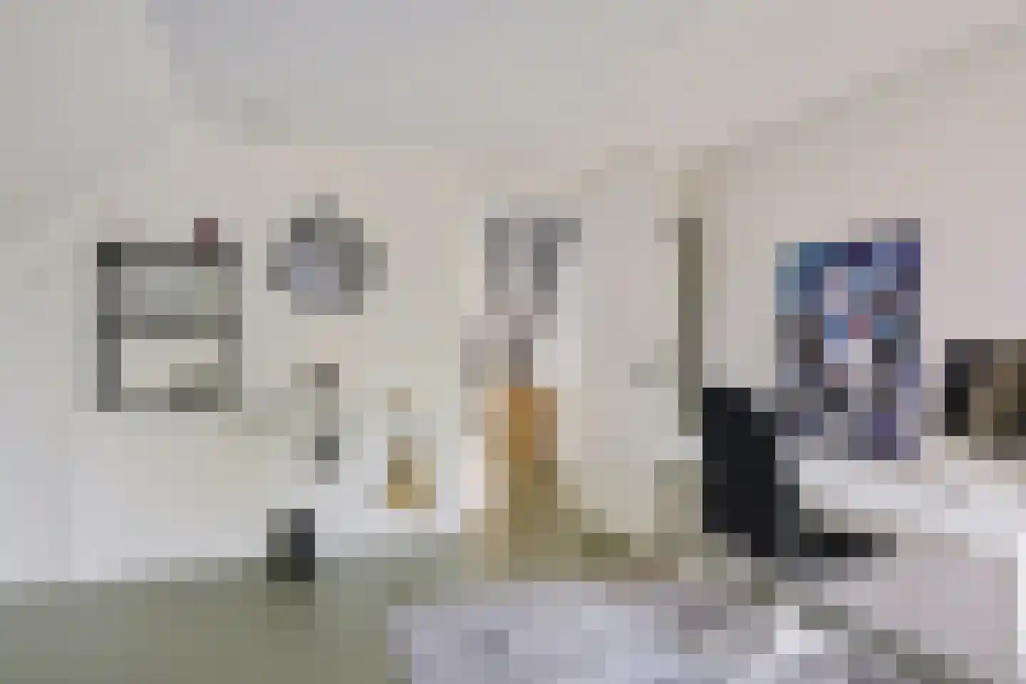 Leeuwetand 21 Heerenveen thumbnail 41
