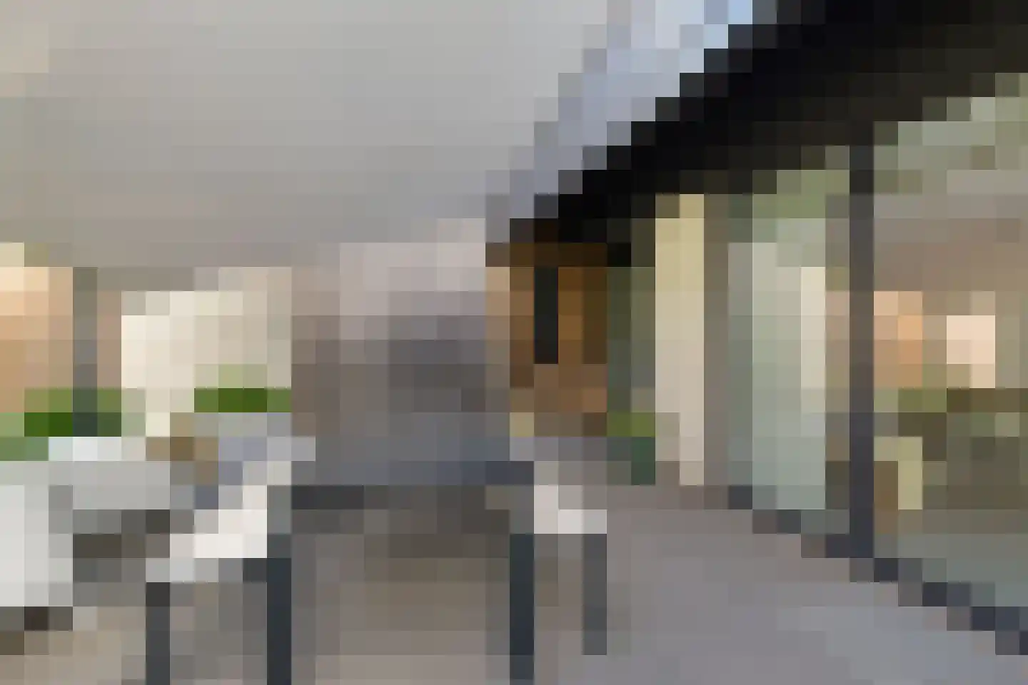 Leeuwetand 21 Heerenveen thumbnail 45