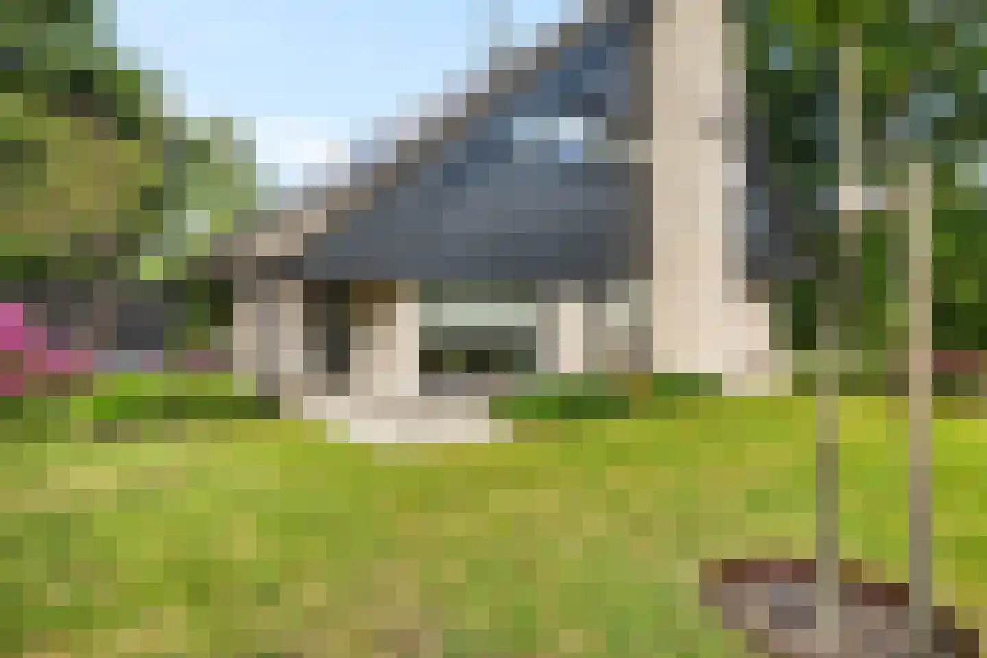 Leeuwetand 21 Heerenveen thumbnail 5