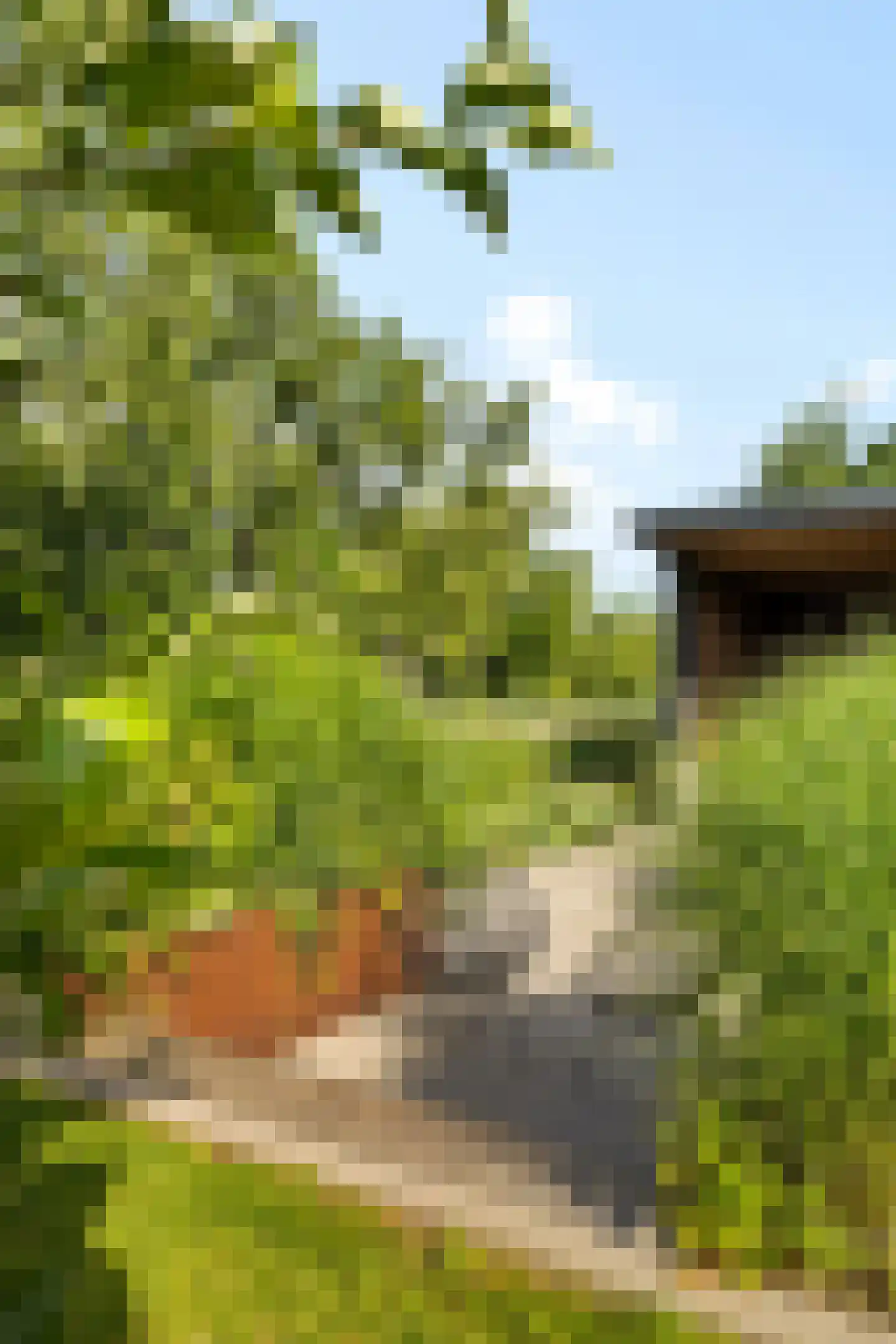 Leeuwetand 21 Heerenveen thumbnail 51
