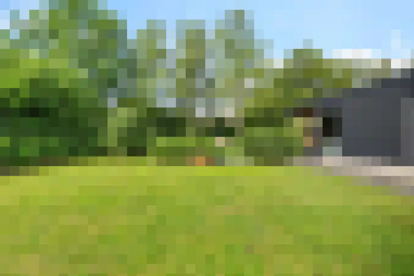 Leeuwetand 21 Heerenveen thumbnail 53