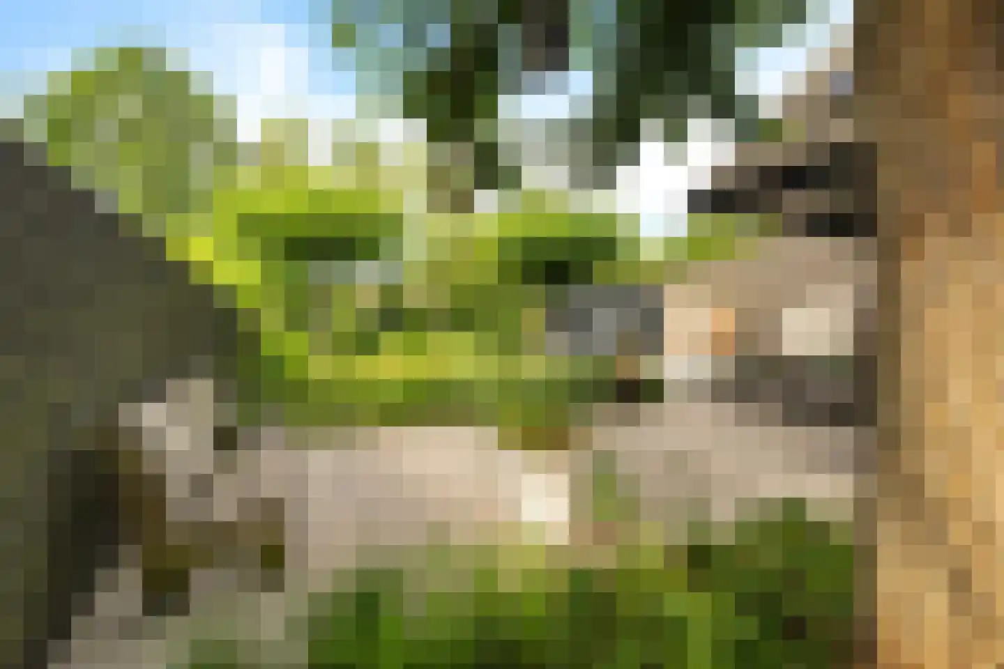 Leeuwetand 21 Heerenveen thumbnail 54