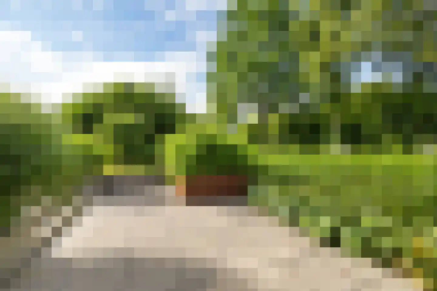 Leeuwetand 21 Heerenveen thumbnail 56