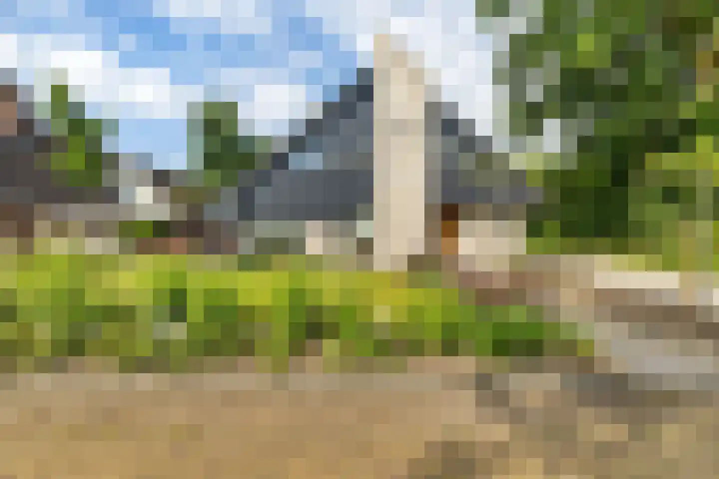 Leeuwetand 21 Heerenveen thumbnail 59