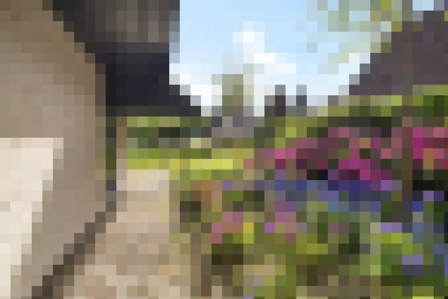 Leeuwetand 21 Heerenveen thumbnail 63