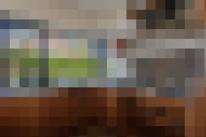 Leeuwetand 28 Heerenveen thumbnail 26