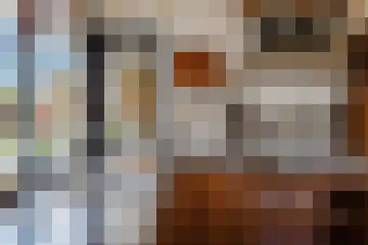 Leeuwetand 28 Heerenveen thumbnail 28