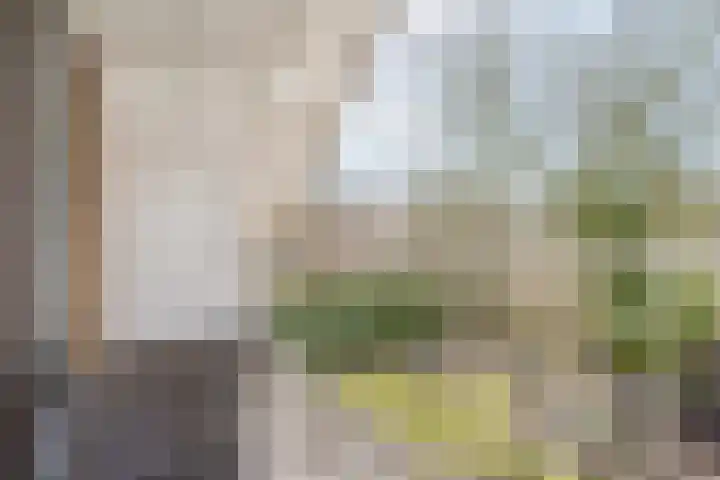 Leeuwetand 28 Heerenveen thumbnail 4